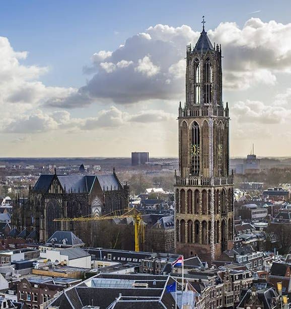 bal van dom