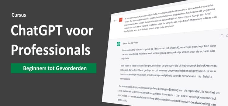 Workshop ChatGPT voor professionals (in-company)